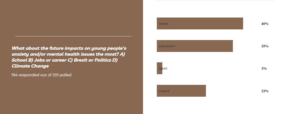 Brown poll on the future impacts on young people's anxiety