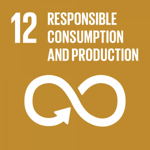 Target 12.2 By 2030, achieve the sustainable management and efficient use of natural resources.