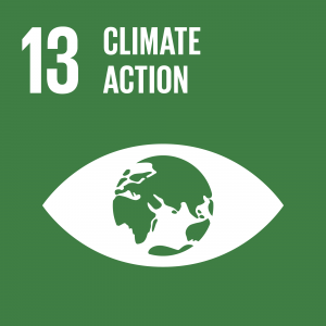 Target 13.3 Improve education, awareness-raising and human and institutional capacity on climate change mitigation, adaptation, impact reduction and early warning.