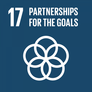 Target : 17.2 Developed countries to implement fully their official development assistance commitments, including the commitment by many developed countries to achieve the target of 0.7 per cent of gross national income for official development assistance (ODA/GNI) to developing countries and 0.15 to 0.20 per cent of ODA/GNI to least developed countries; 